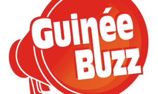 guineebuzz logo